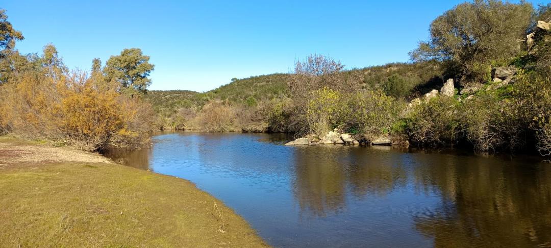 Photo of Others in Mertola