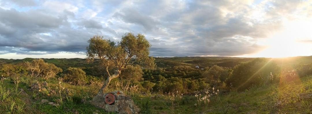 Photo of Others in Mertola