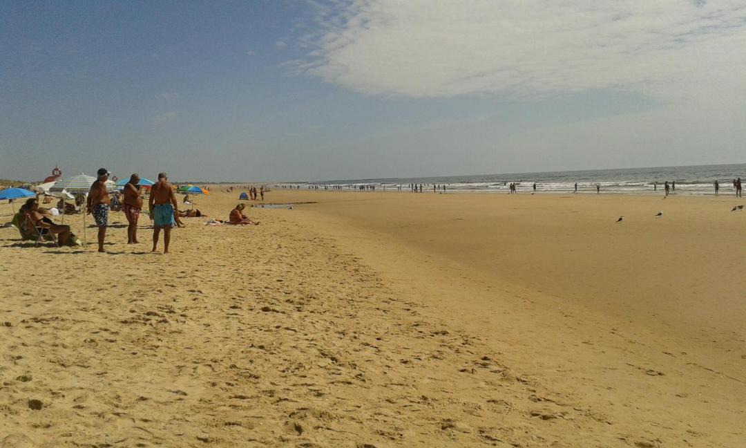 Photo of Outdoor in Altura