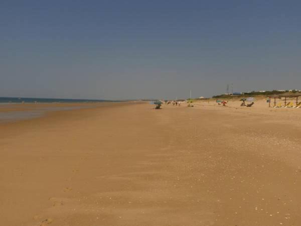 Photo of Outdoor in Altura