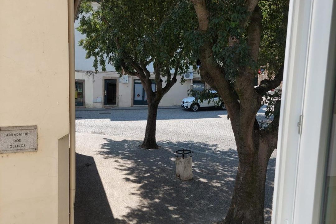 Photo of Others in Castelo Branco