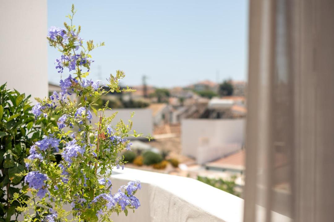 Photo of Others in Tavira