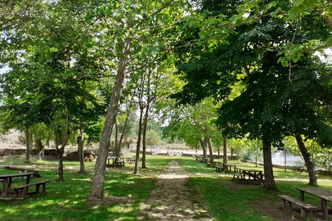 Photo of Others in Pinhel