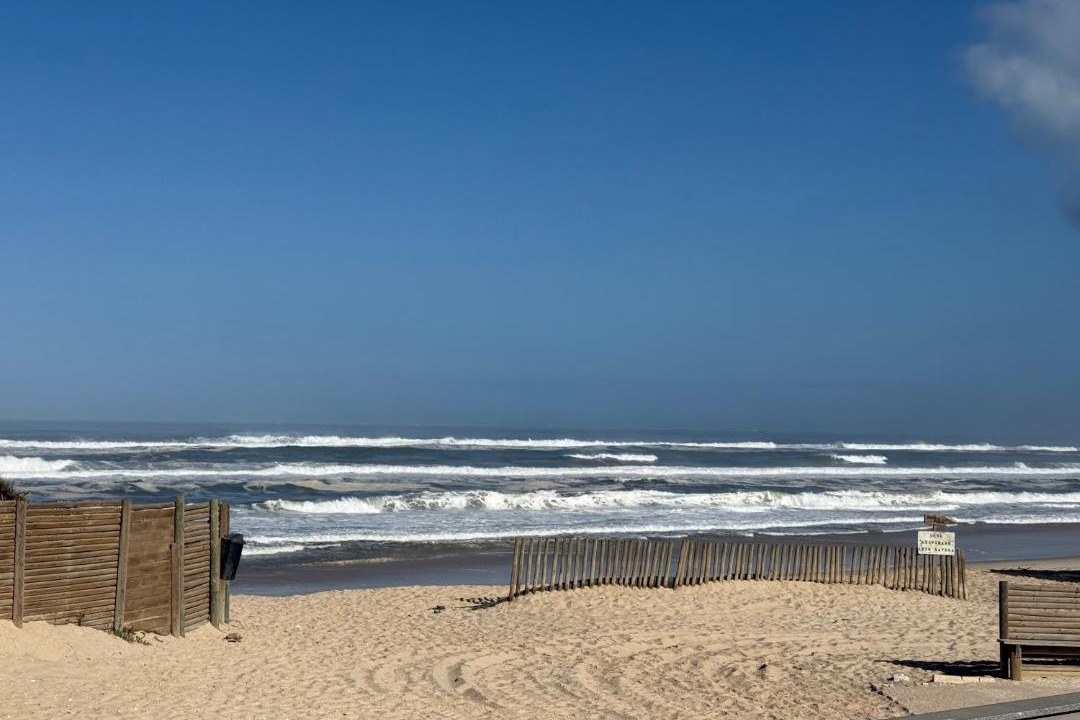 Photo of Others in Figueira da Foz