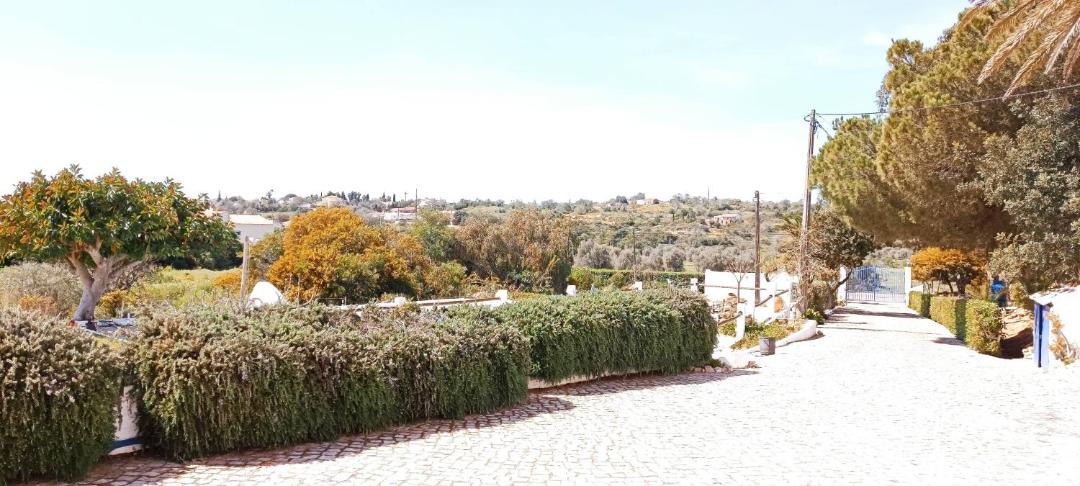 Photo of Others in Albufeira
