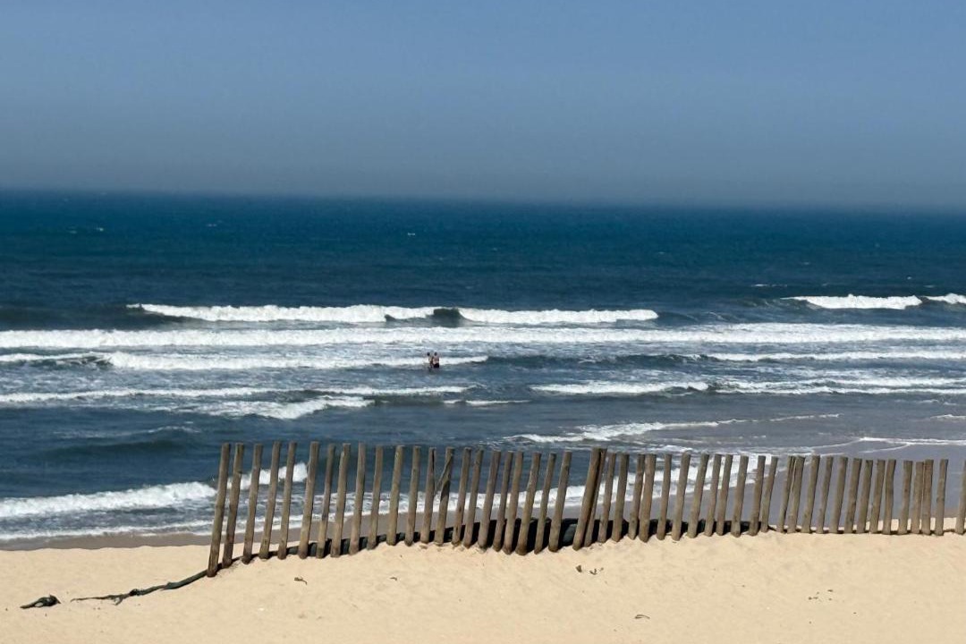 Photo of Others in Figueira da Foz