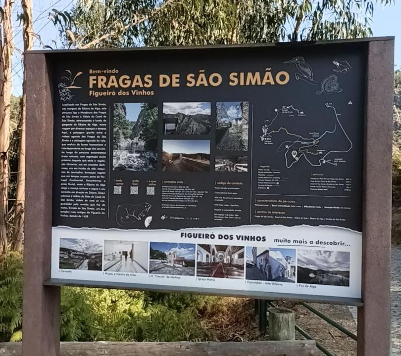 Photo of Others in Arega