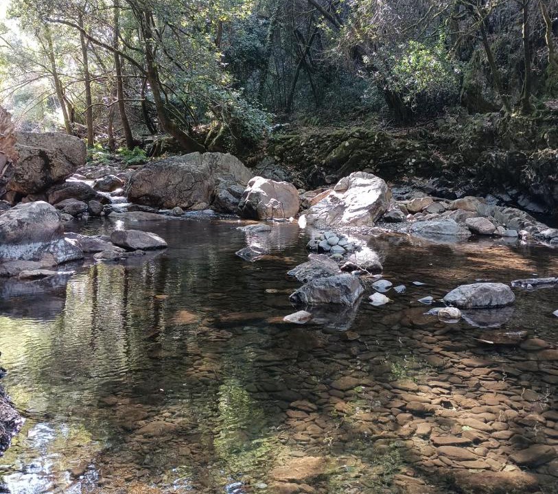 Photo of Others in Arega