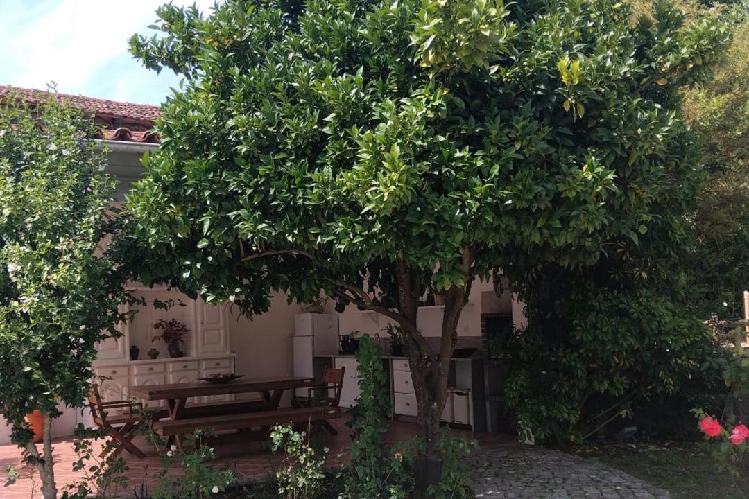 Photo of Others in Tondela