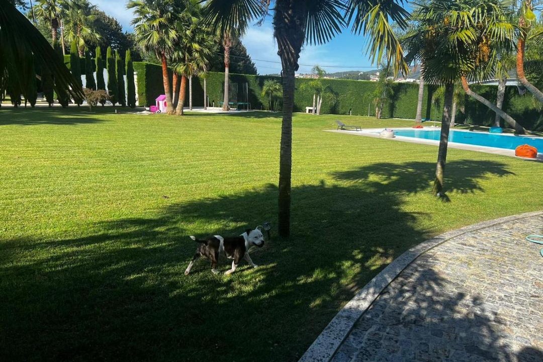 Photo of Others in Valpedre