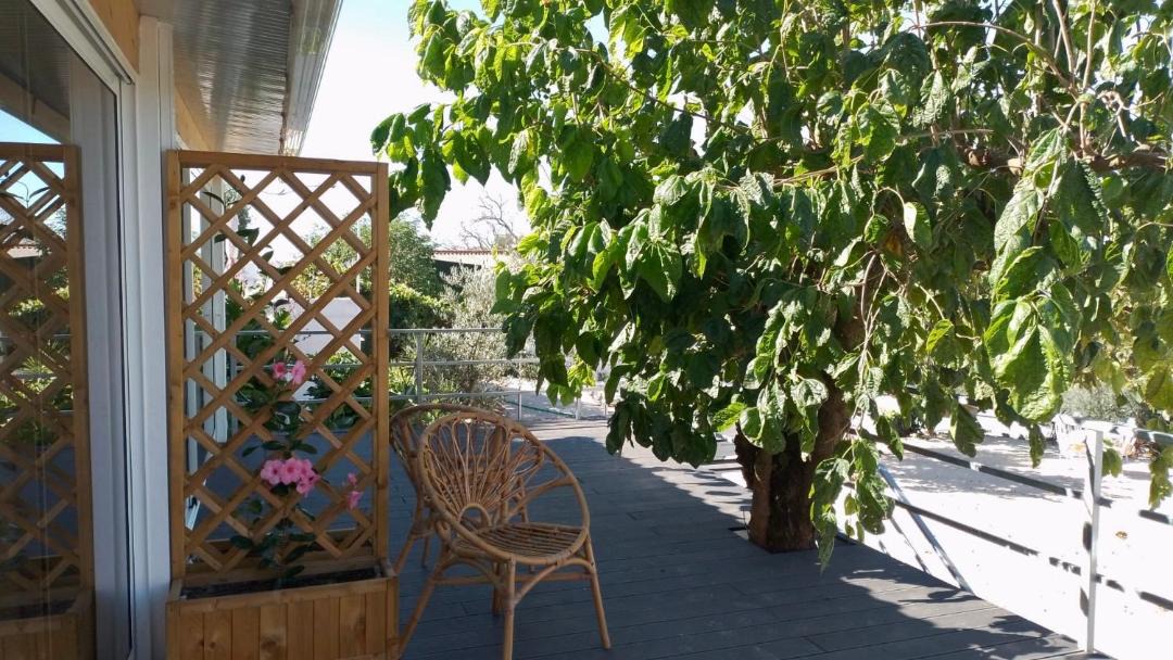 Photo of Patio Balcony in Casais