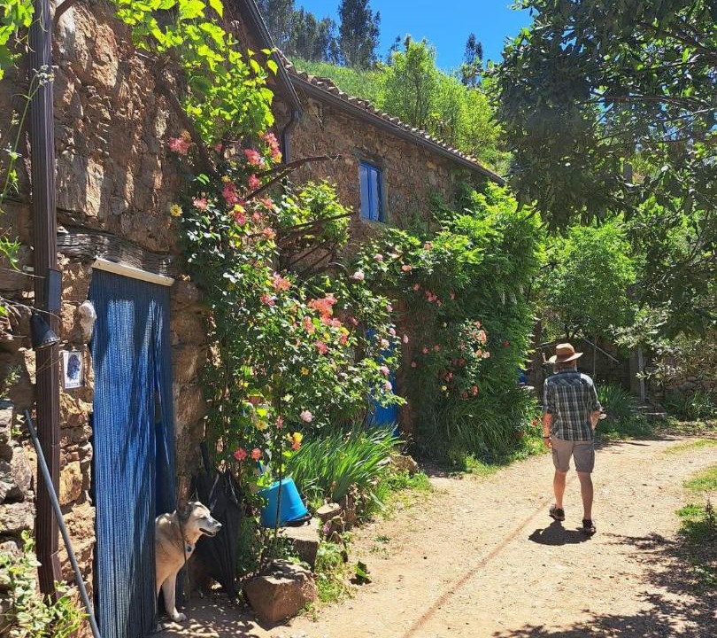 Photo of Others in Figueiro dos Vinhos