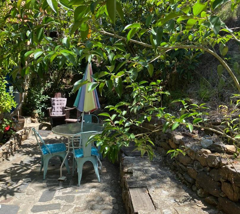 Photo of Others in Figueiro dos Vinhos