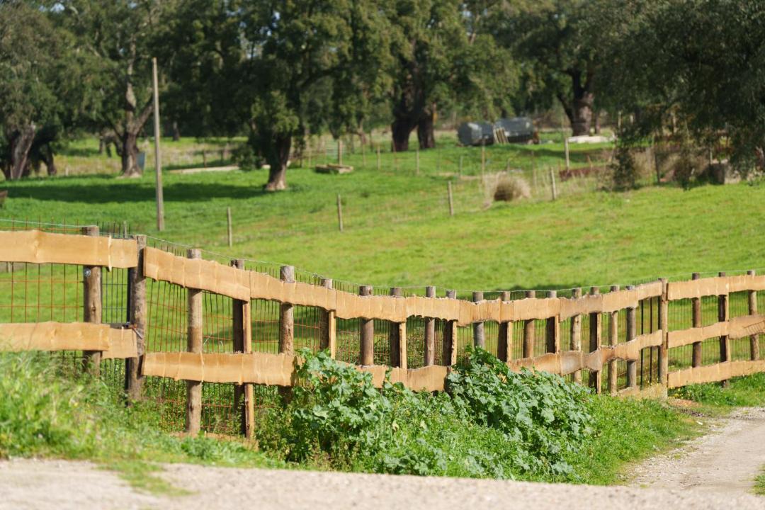 Photo of Others in Grandola