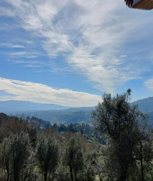 Photo of Others in Molares