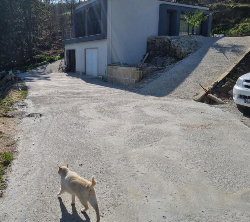Photo of Others in Molares
