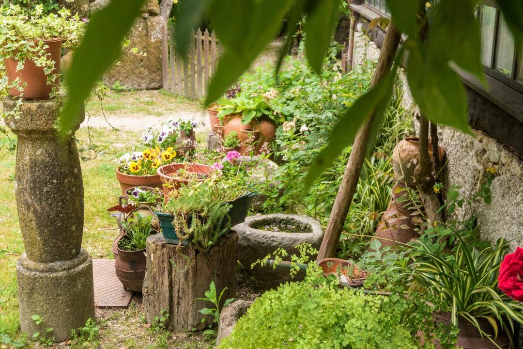 Photo of Others in Molares