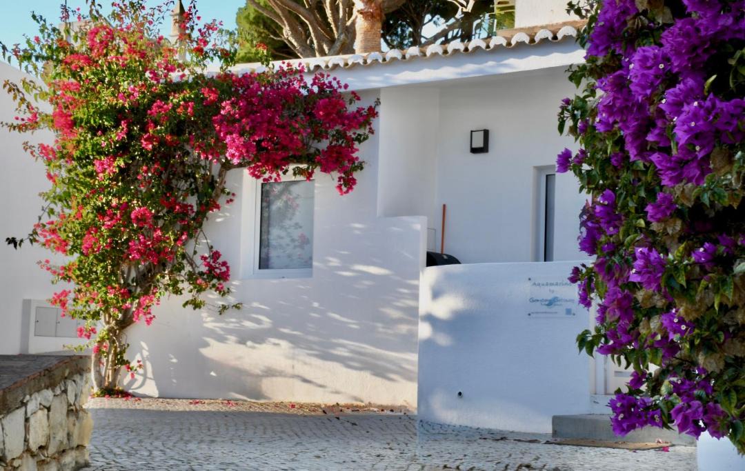 Photo of Others in Vale do Lobo
