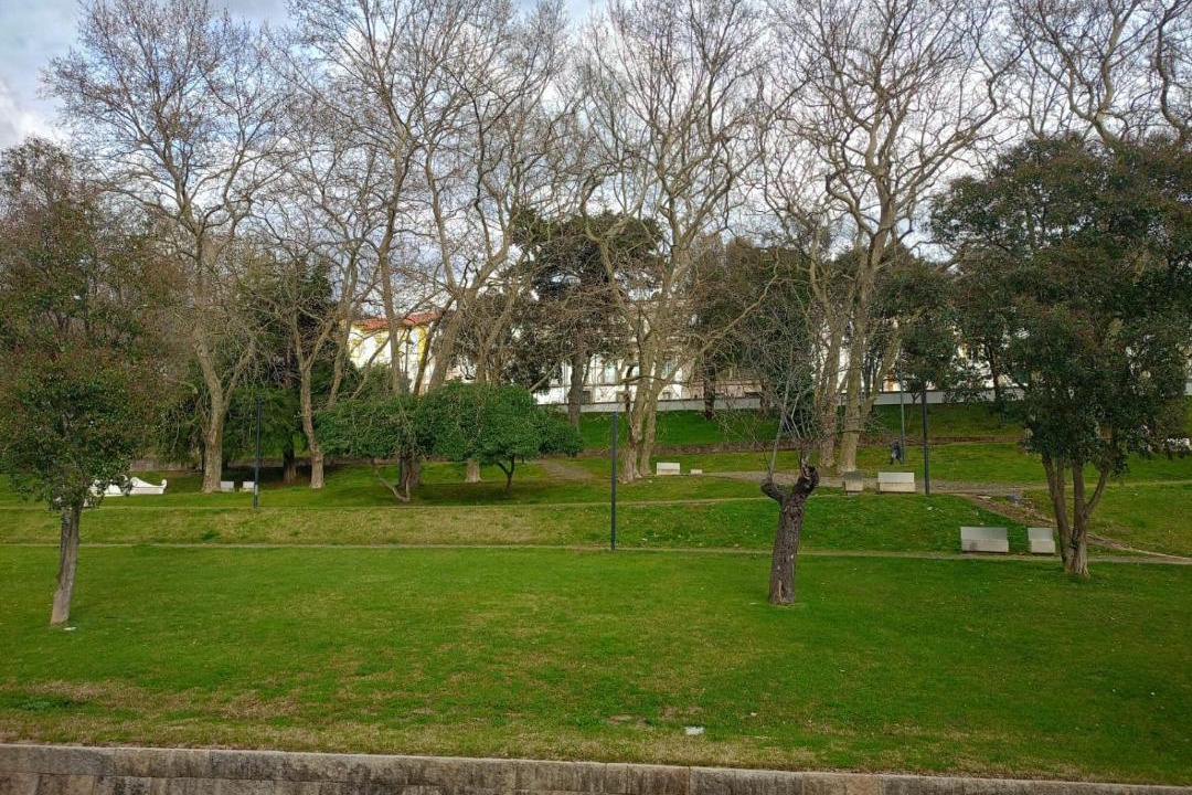 Photo of Others in Portalegre