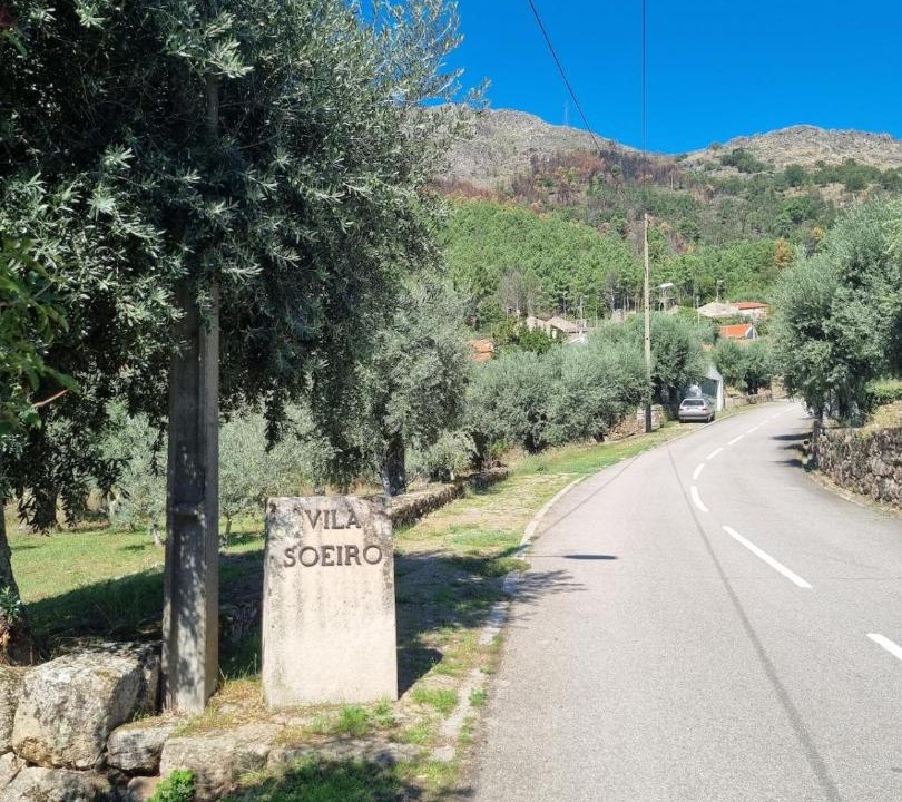 Photo of Others in Guarda