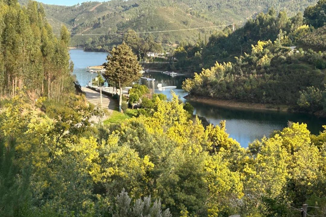 Photo of Others in Ferreira do Zezere