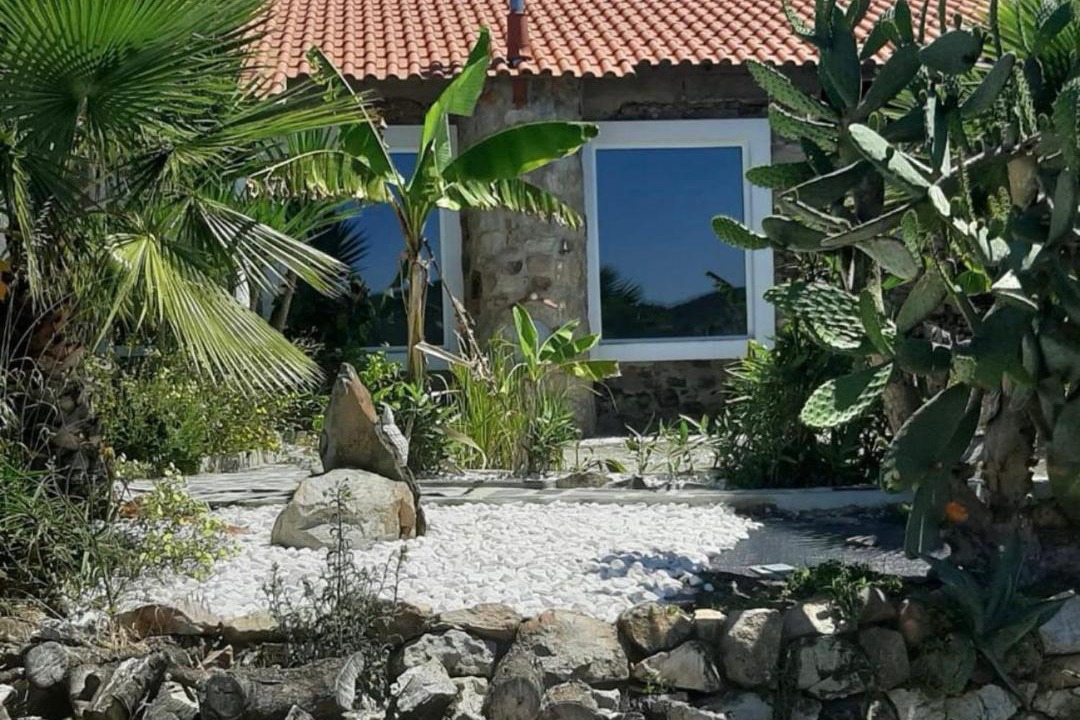 Photo of Others in Figueiro dos Vinhos