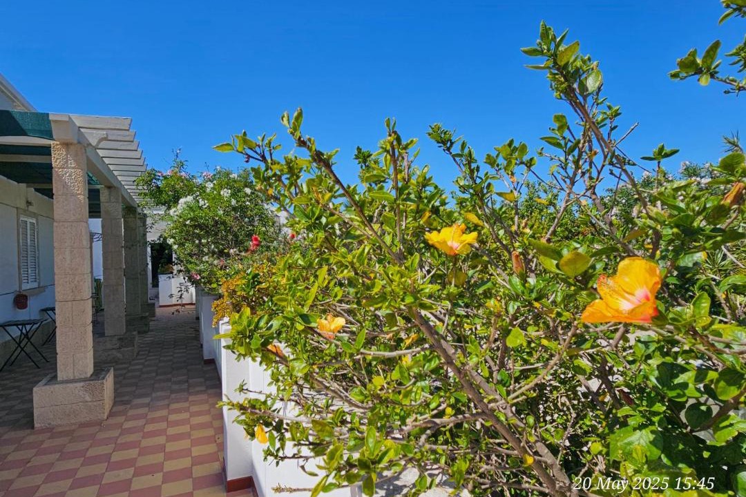 Photo of Others in Olhao