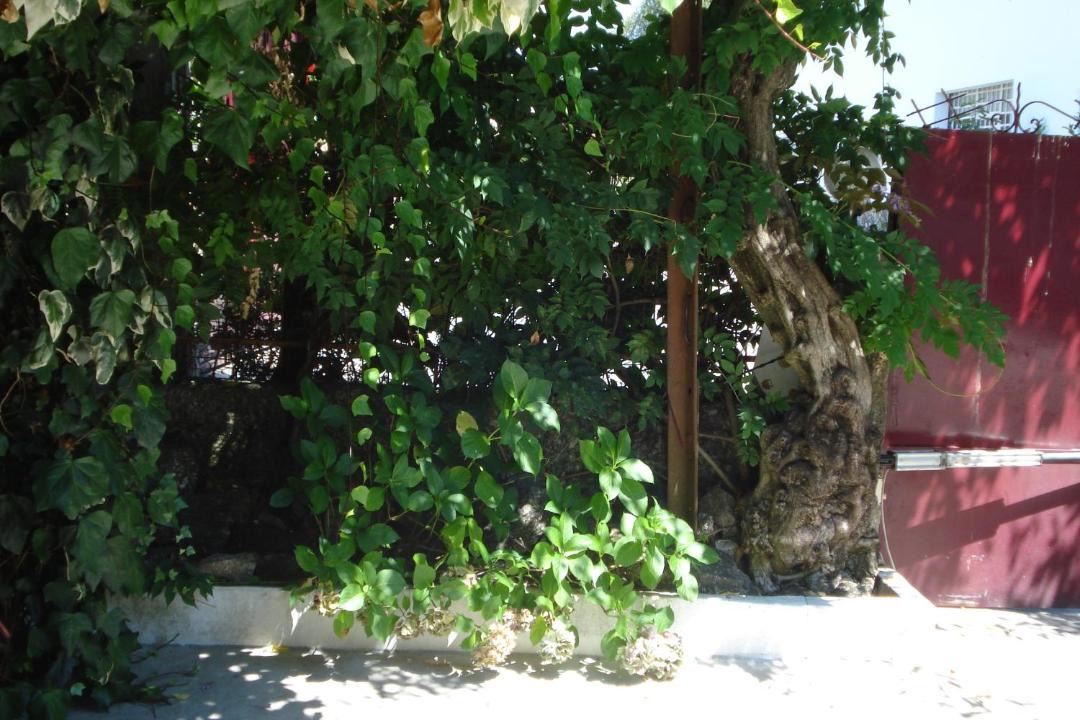 Photo of Others in Mosteiro
