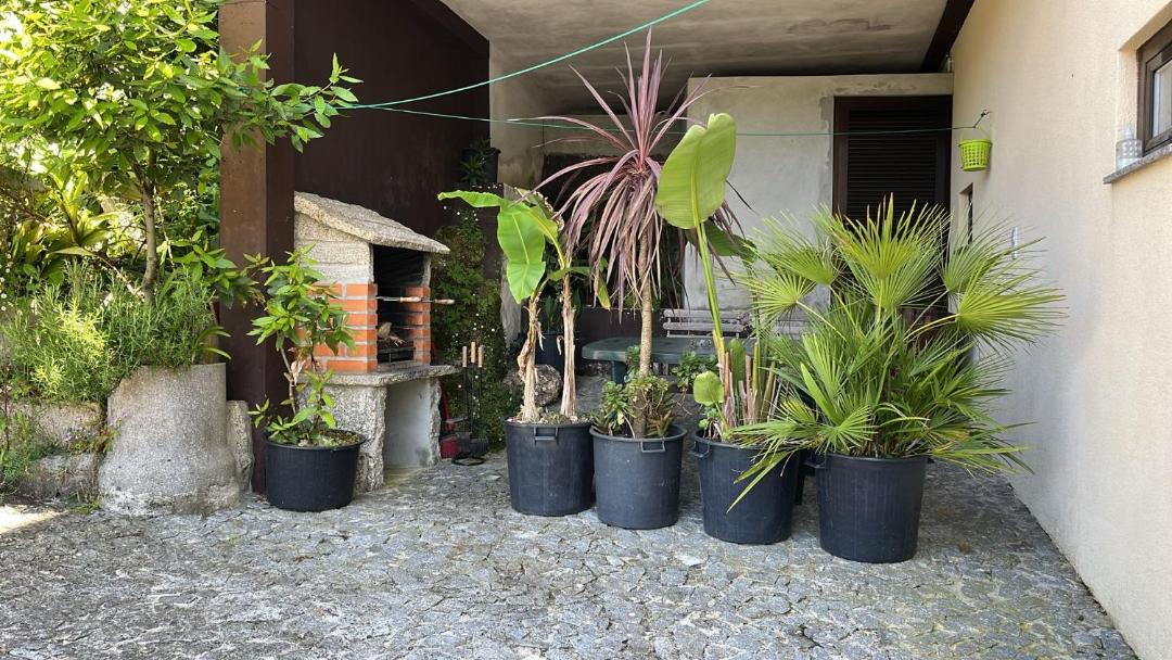 Photo of Others in Cova
