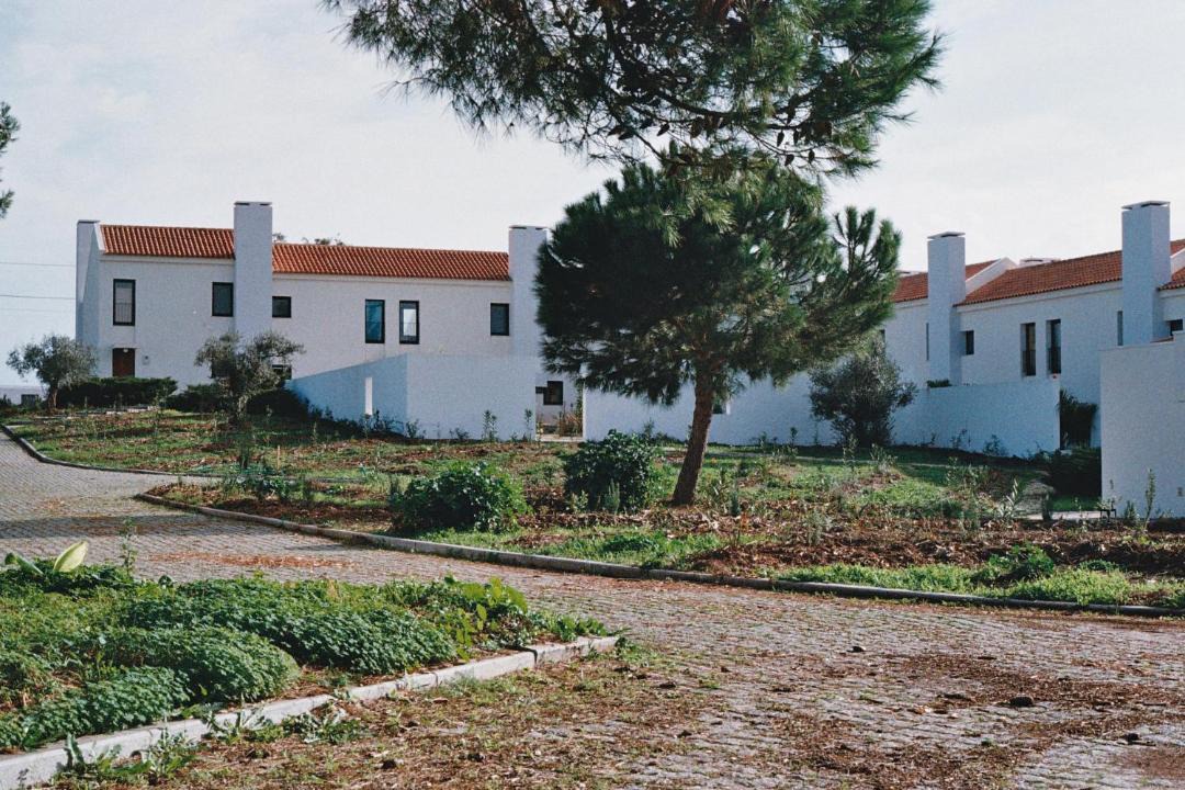 Photo of Others in Vila Vicosa