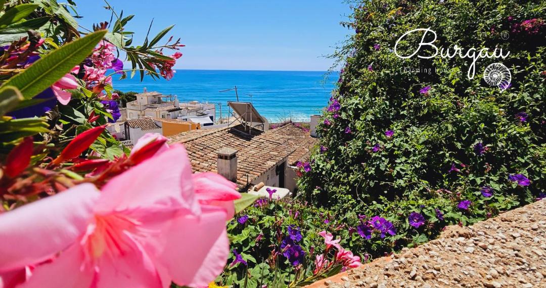 Photo of Others in Burgau