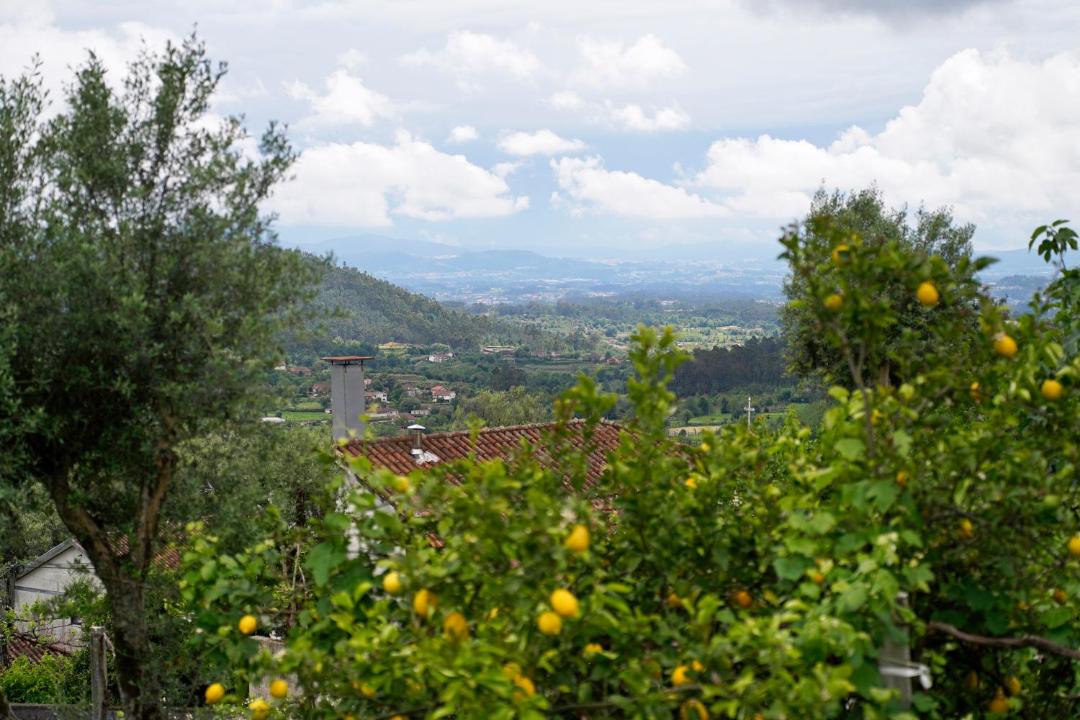 Photo of Others in Pico