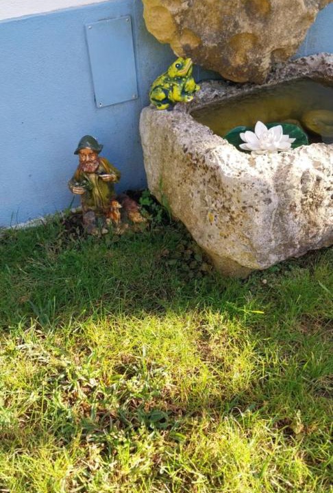 Photo of Others in Carvoeira