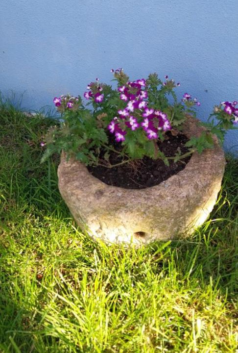 Photo of Outdoor in Carvoeira