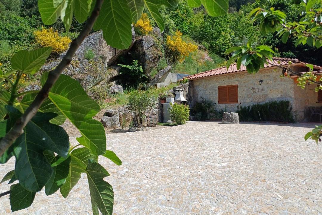 Photo of Others in Molares