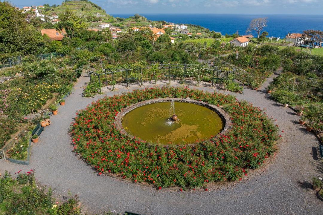 Photo of Others in Arco de Sao Jorge