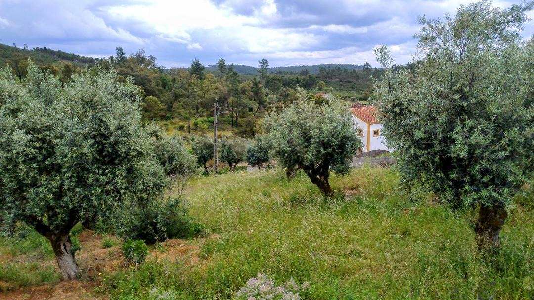 Photo of Others in Envendos