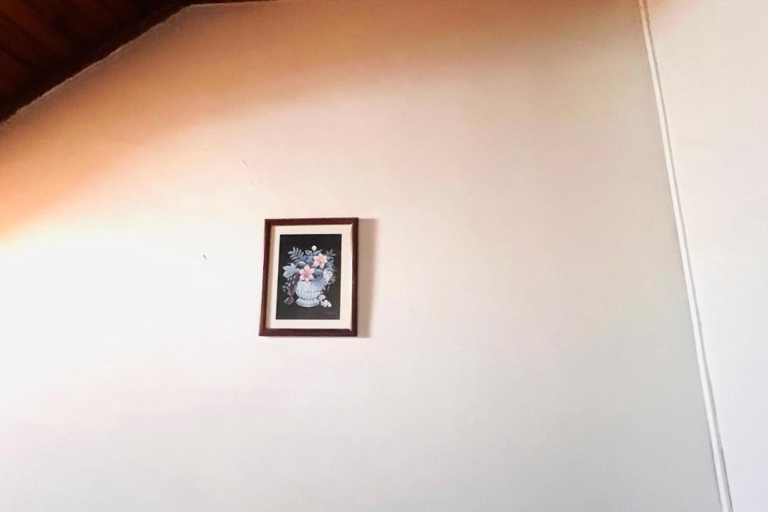 Photo of Others in Alcantara