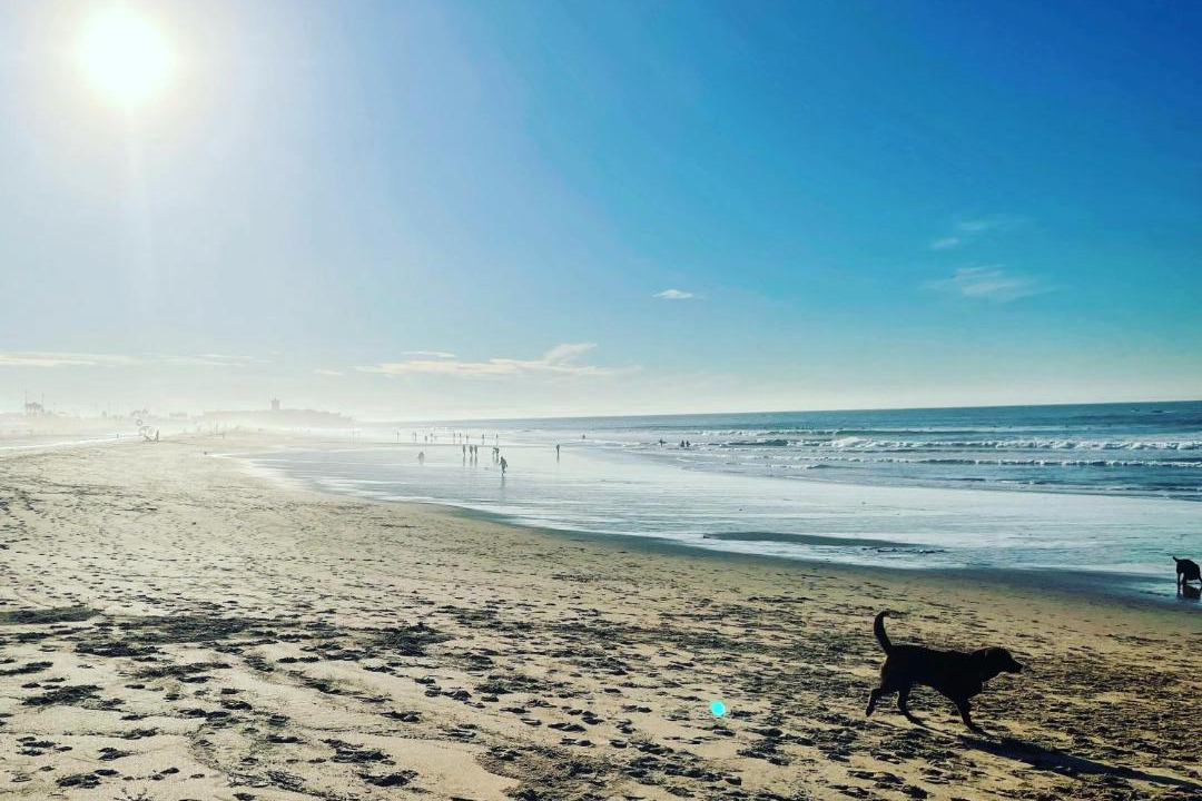 Photo of Others in Carcavelos