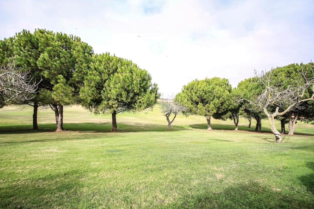 Photo of Others in Atalaia