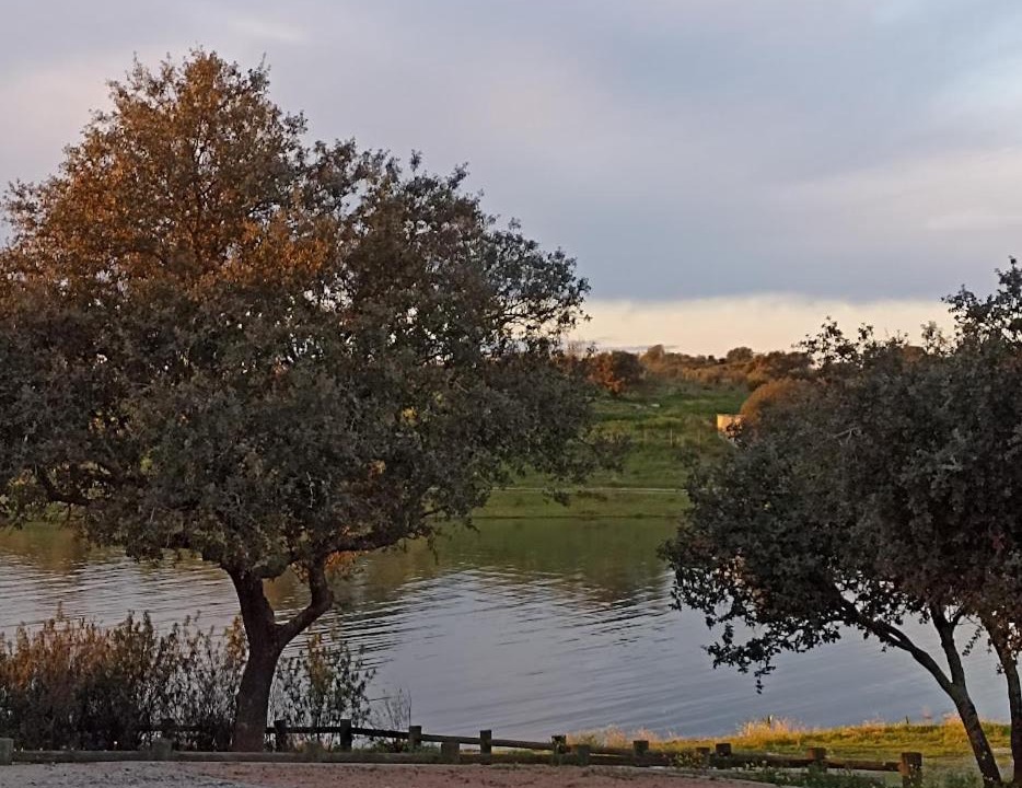 Photo of Others in Mourao