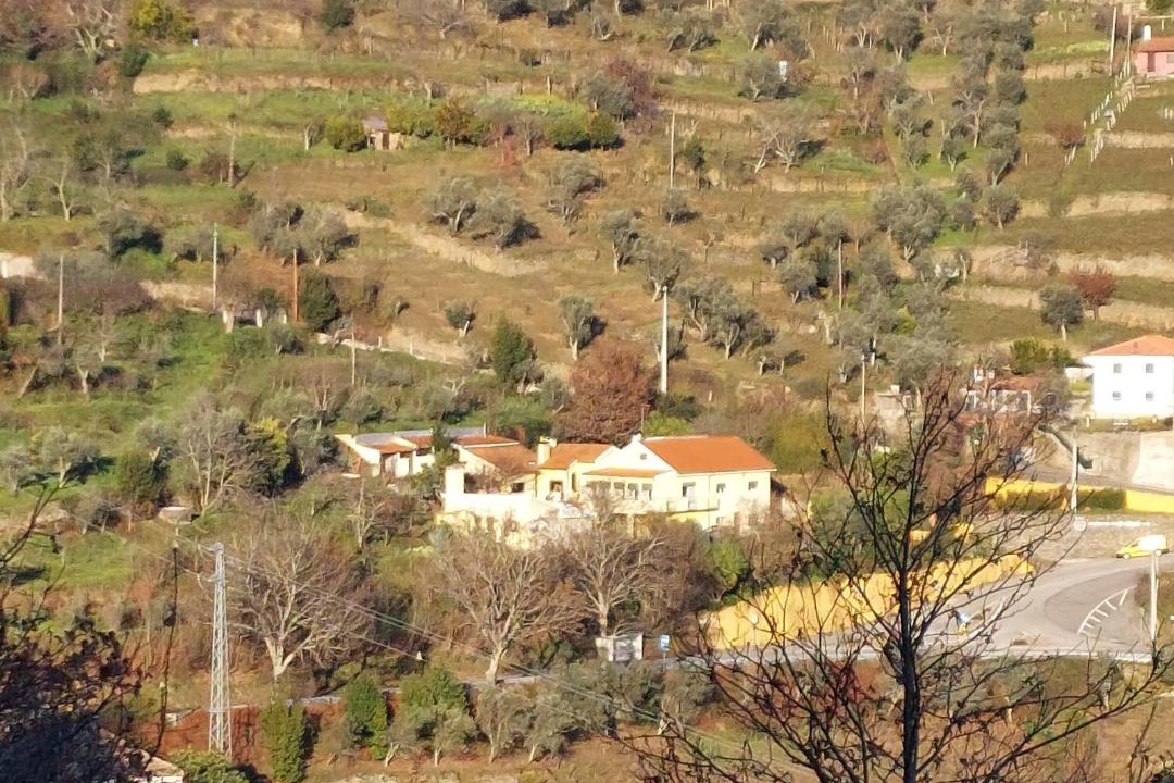 Photo of Others in Lamego