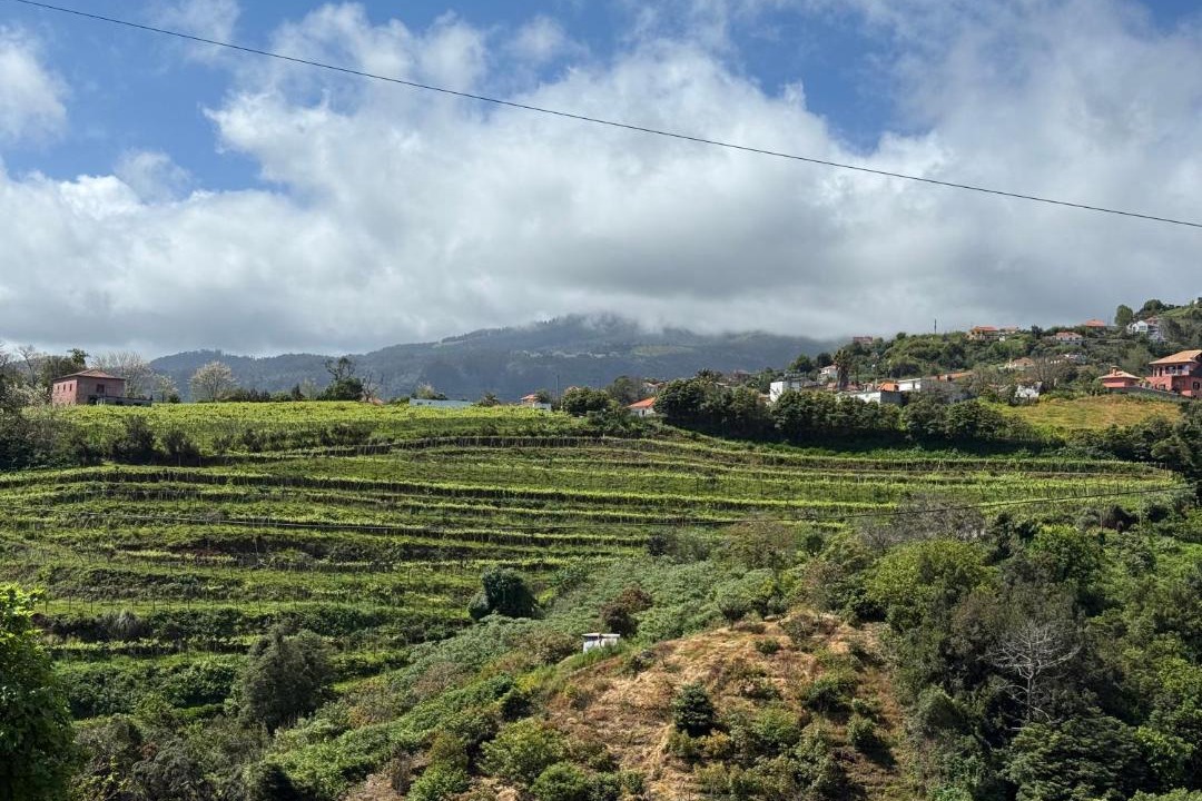 Photo of Others in Sao Jorge