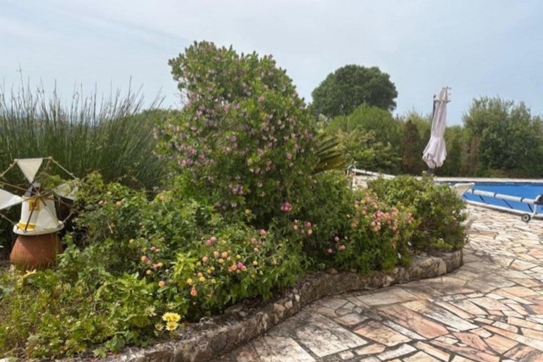 Photo of Others in Obidos