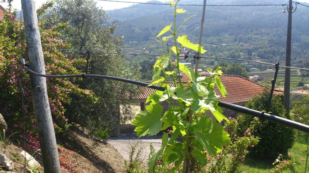 Photo of Others in Crasto
