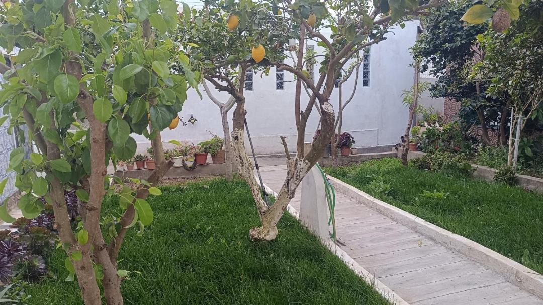 Photo of Others in Carvoeira