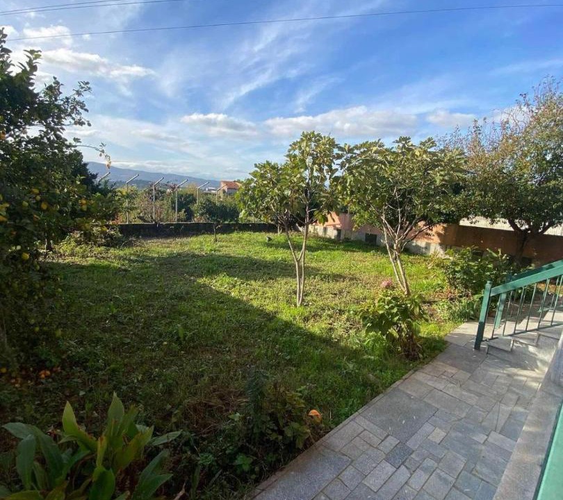Photo of Others in Fundao