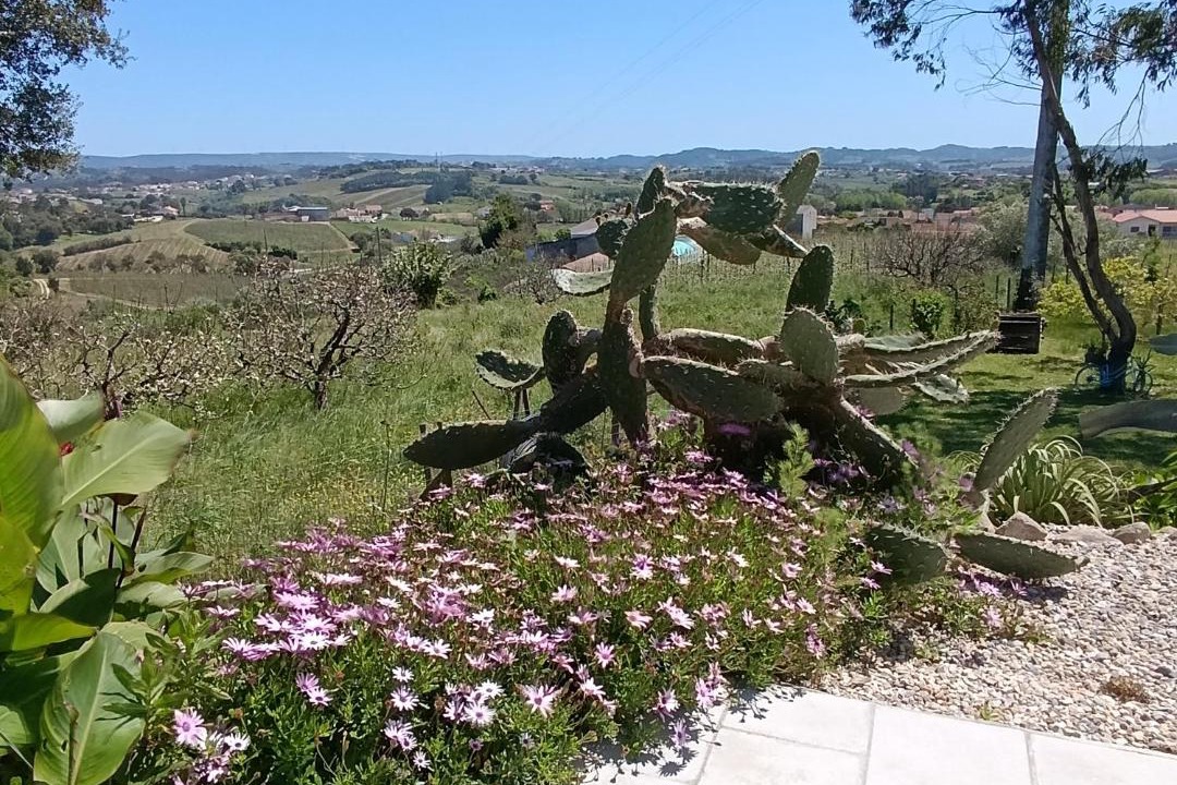 Photo of Others in Alcobaca
