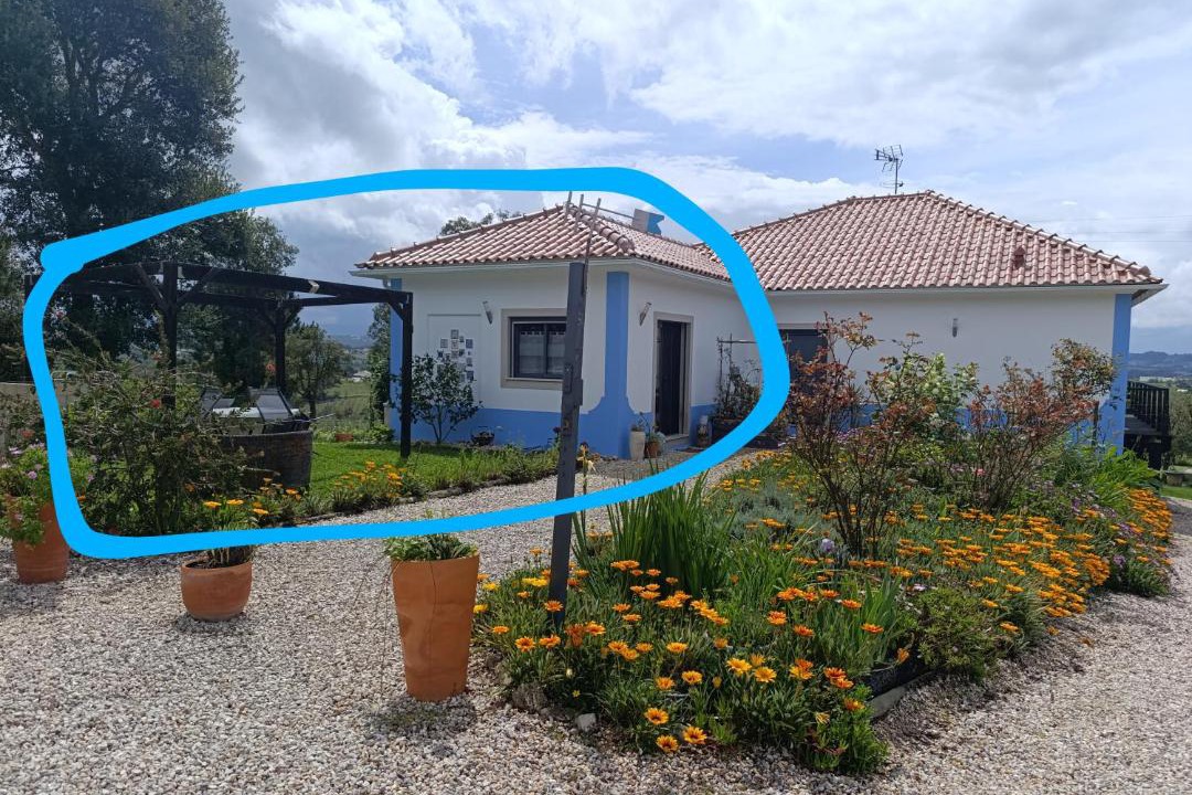 Photo of Others in Alcobaca