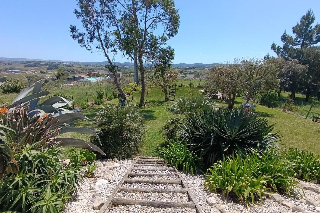 Photo of Others in Alcobaca
